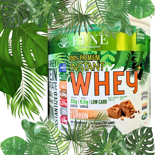 WHEY 100% EFNE Sabor Ice Cream Turrón – Edición Especial Navideña
