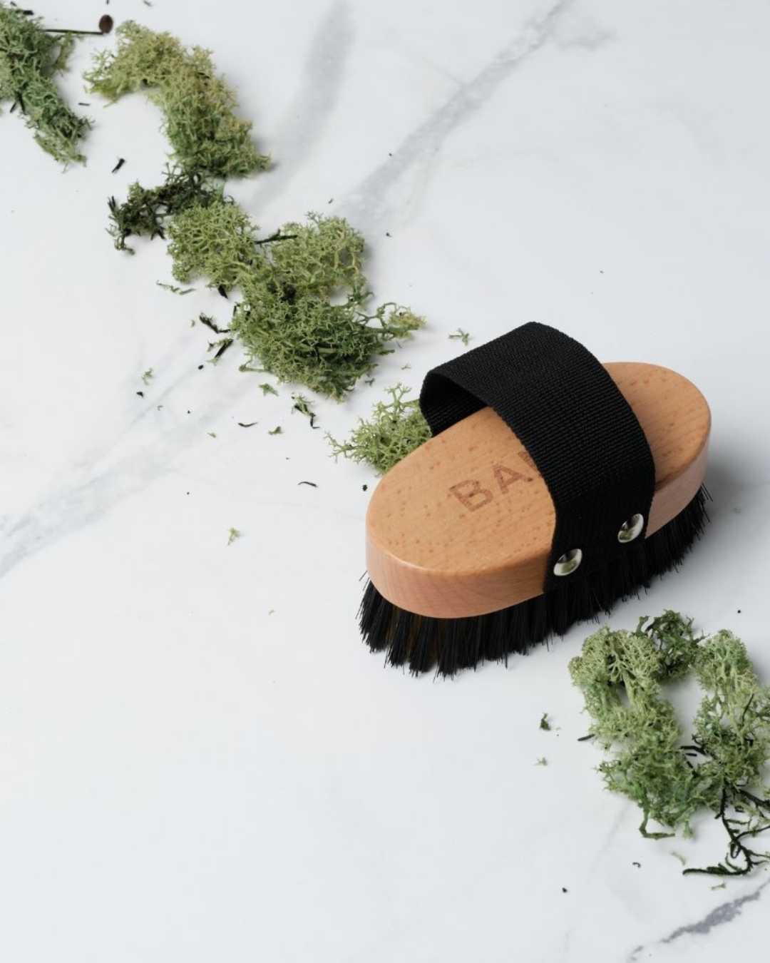 Cepillo para perros Pet Brush BANBU - imagen 2