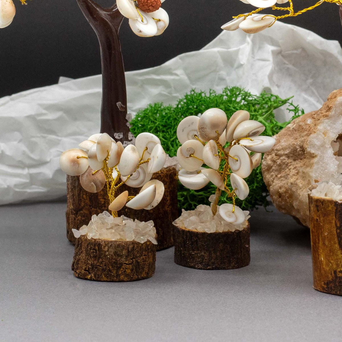 Árbol de gomati chakra con rudraksha de 15 piedras, foto 3