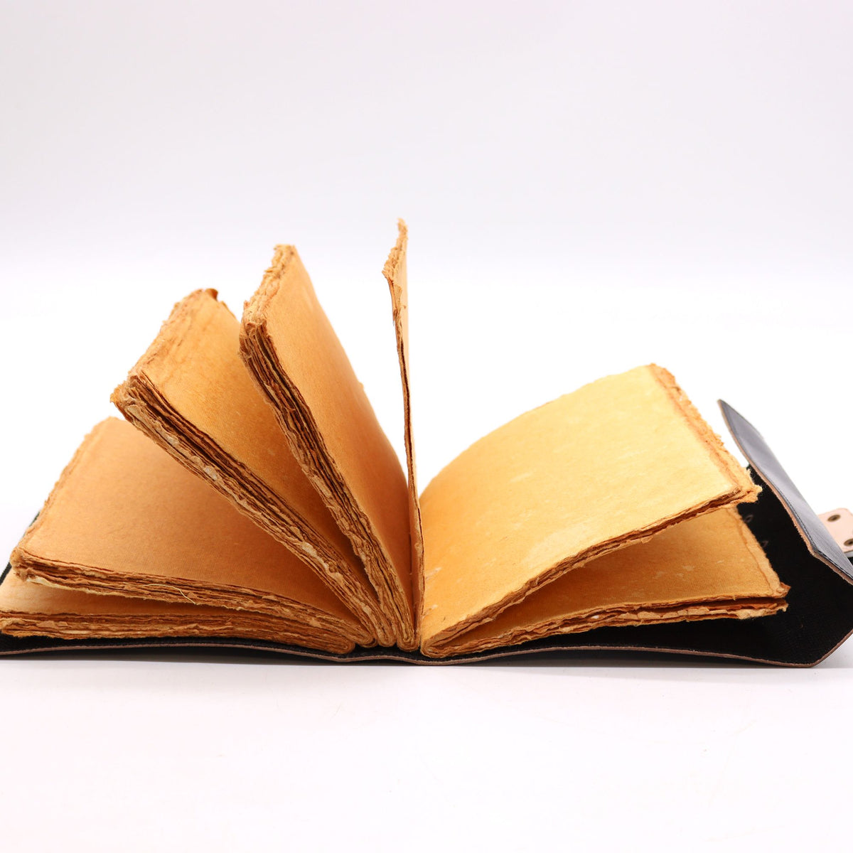 Llibre de les Ombres