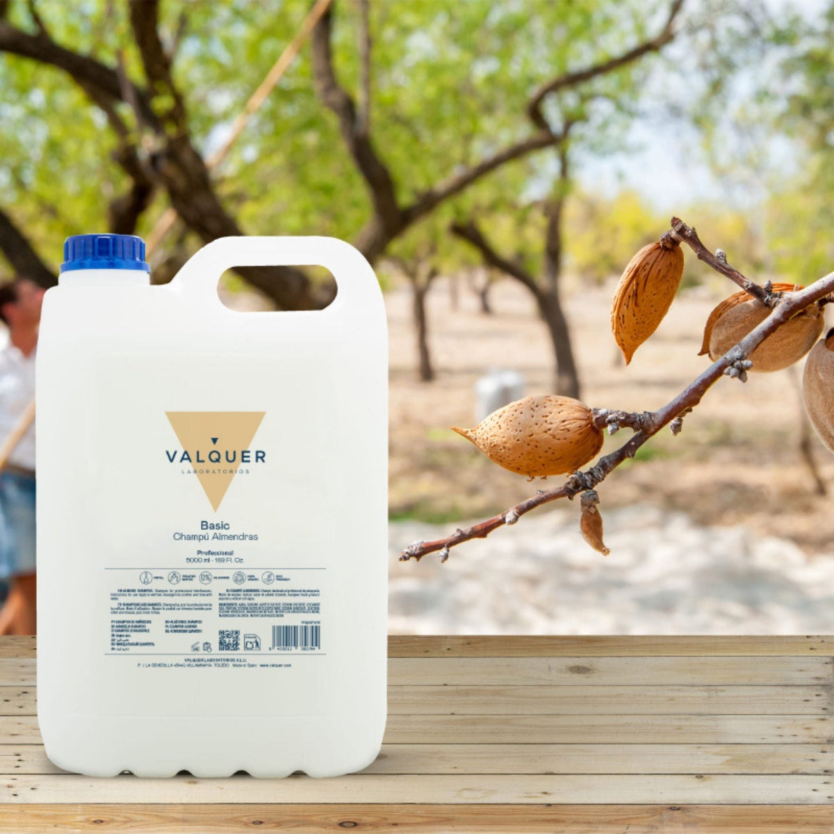 Champú almendras - 5000 ml - Montber Professional Brand