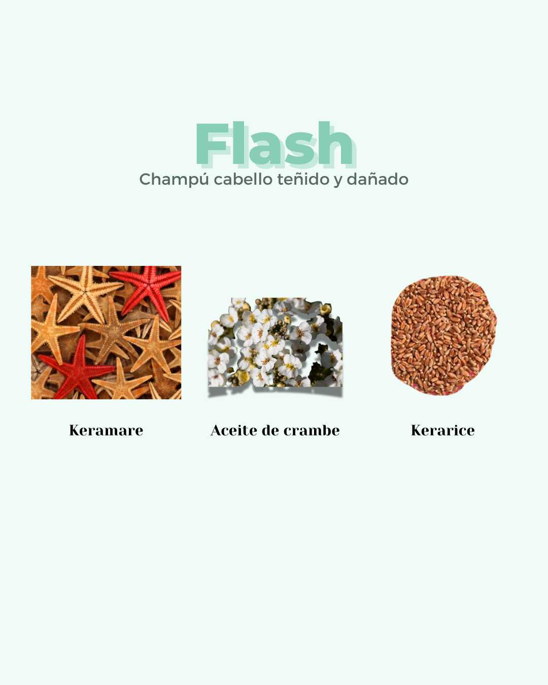 Champú Sólido ECO Reparador Cabello Dañado FLASH - Montber Professional Brand