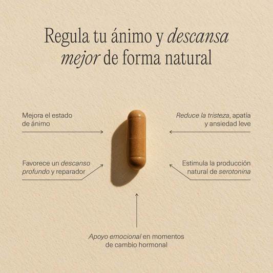 FemmeUp Bienestar – Equilibrio Emocional y Bienestar Mental