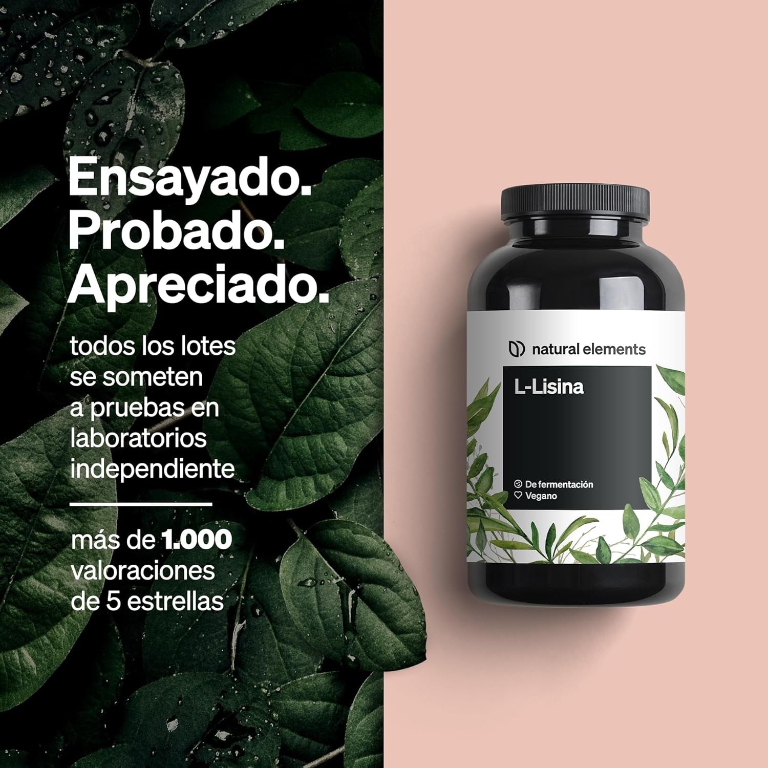 L-LISINA 1.000 MG | SUPLEMENTO VEGANO DE ALTA PUREZA - Montber Professional Brand