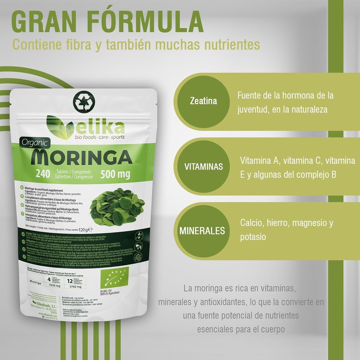 Moringa Oleifera 500 Mg. 240 Comprimidos - Montber Professional Brand