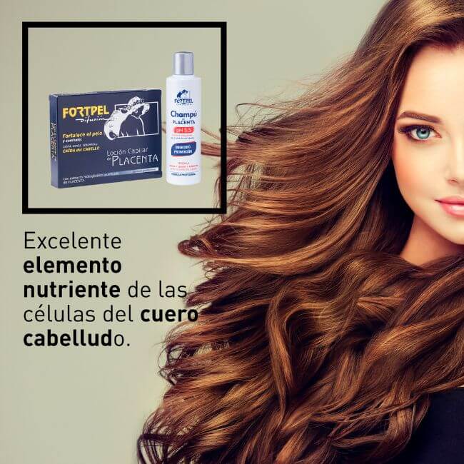 Pack 6 viales placenta 6x15 ml + Champú placenta - 200 ml - Montber Professional Brand