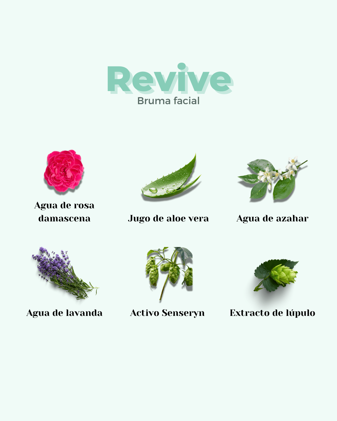 Tónico para Pieles Secas y Sensibles REVIVE - Montber Professional Brand