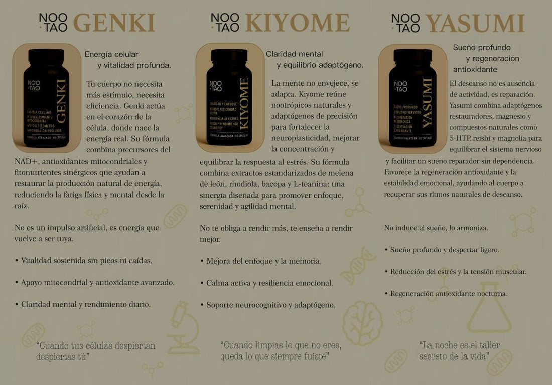 Noo Tao Genki, Kiyome y Yasumi: la rutina cognitiva definitiva para energía, claridad y descanso - Montber Professional Brand
