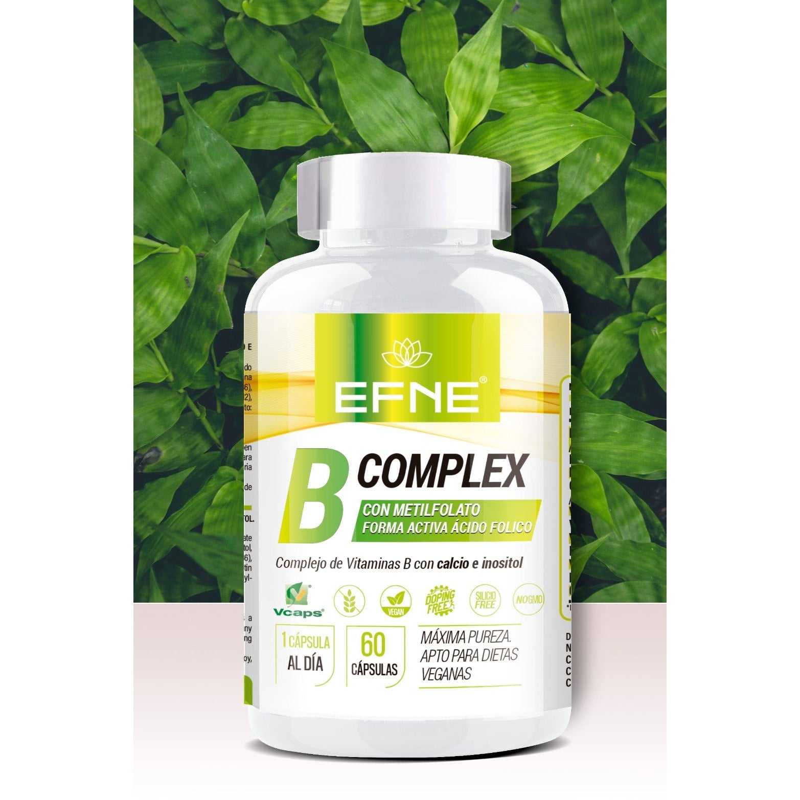 B COMPLEX VITAMIN COMPLEX WITH METHYLFOLATE. Active Folic Acid Form. (Deficiencies due to veganism, Exhaustion)