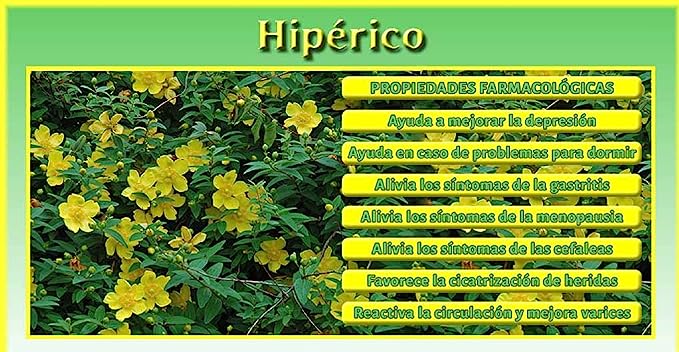 St. John's Wort EFNE – Emotional Balance and Improved Rest