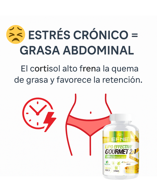 Lipo Effective EFNE 90 Capsulas - Quemador de Grasa y Definicion Muscular Natural