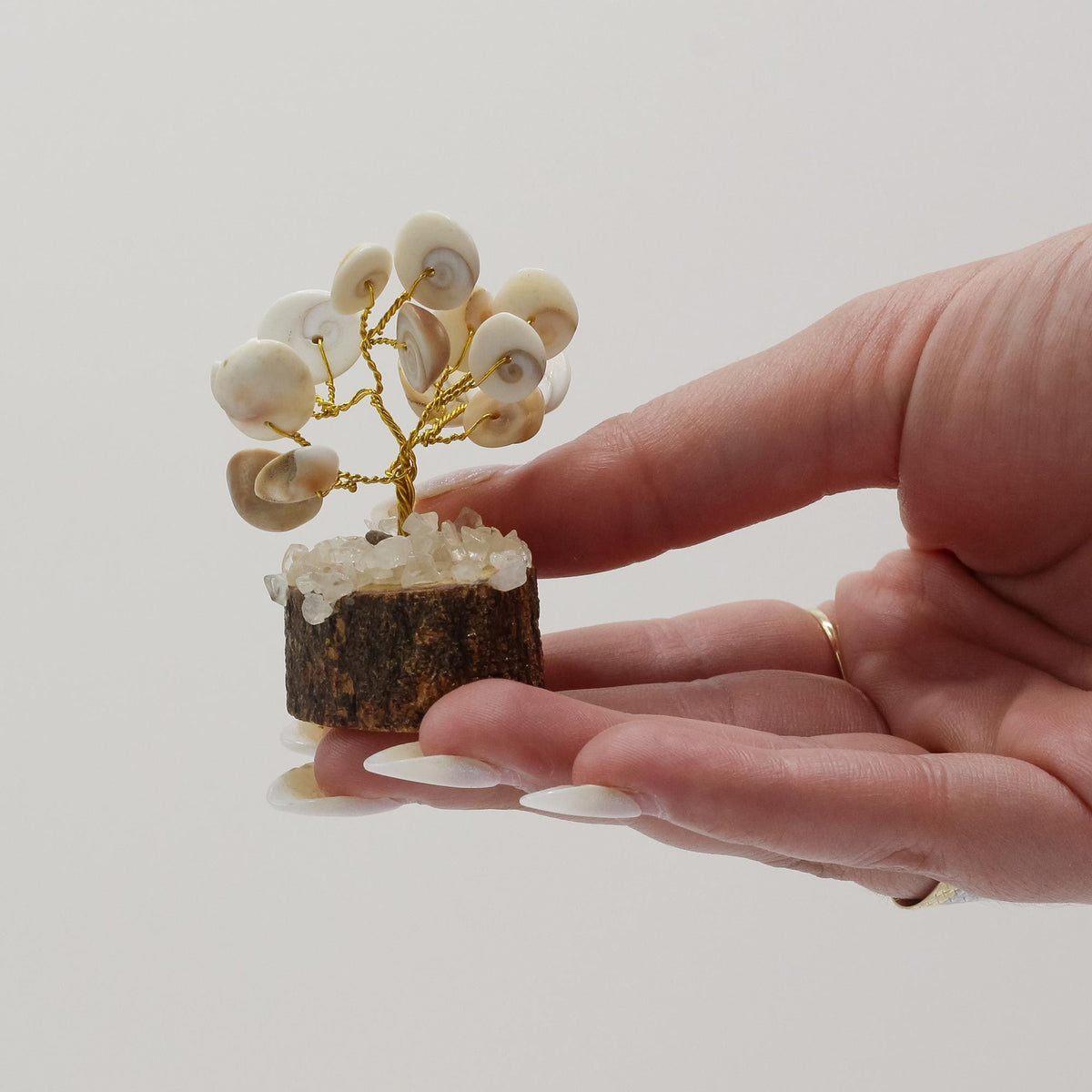 Árbol de gomati chakra con rudraksha de 15 piedras, foto 2