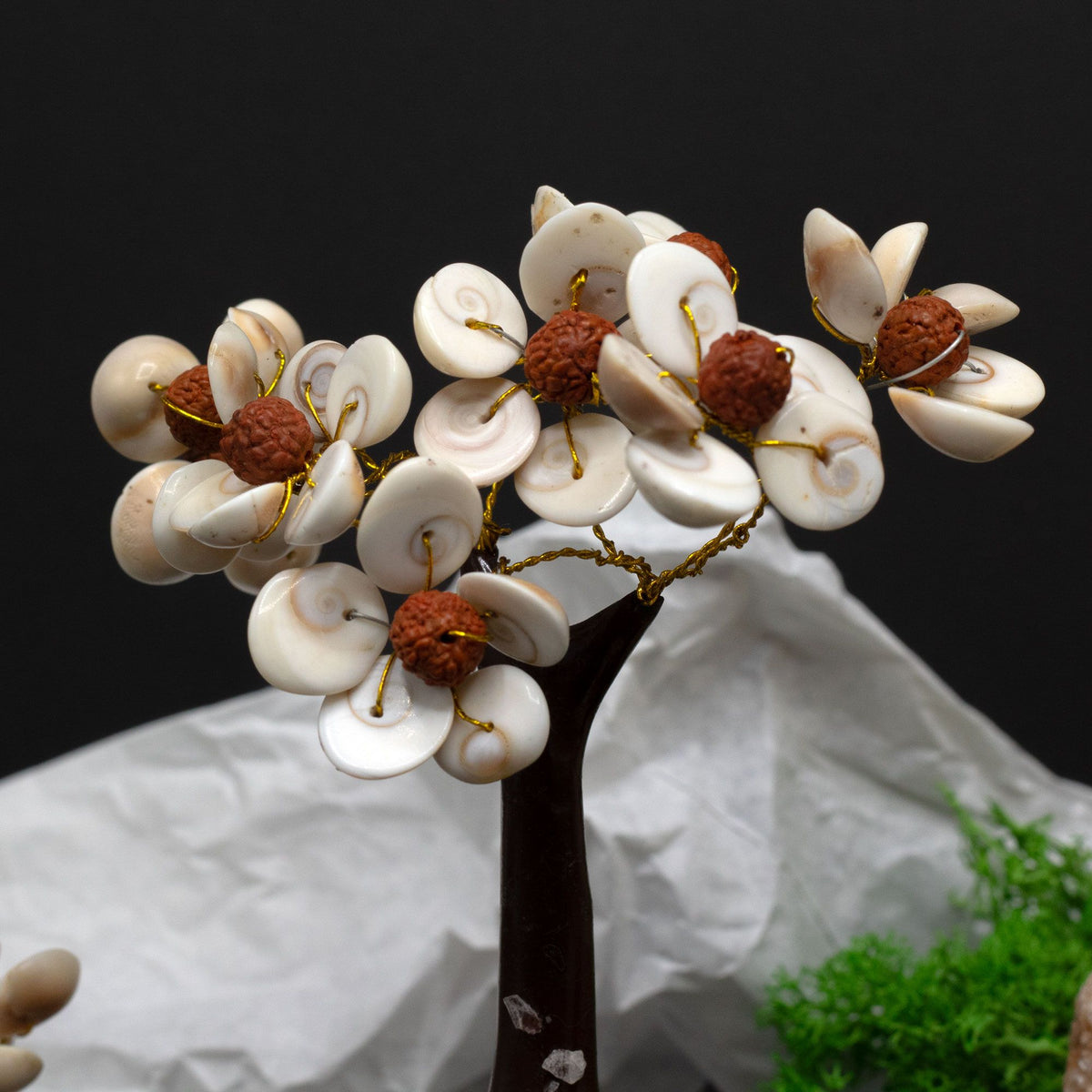 Árbol de gomati chakra con rudraksha de 45 piedras, foto 3