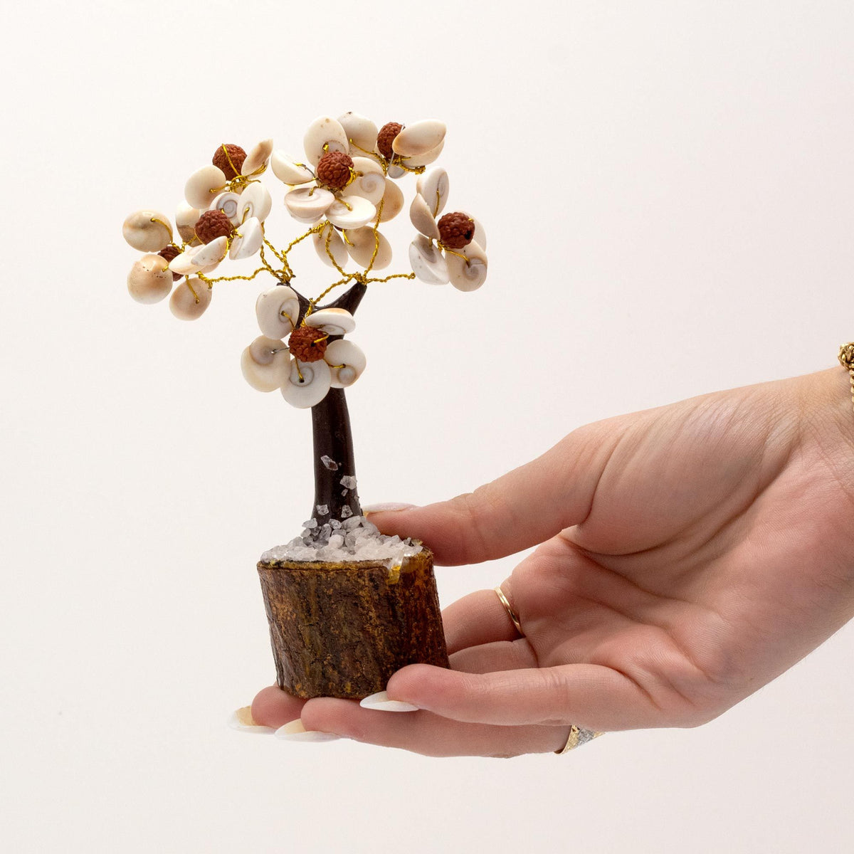Árbol de gomati chakra con rudraksha de 45 piedras, foto 2