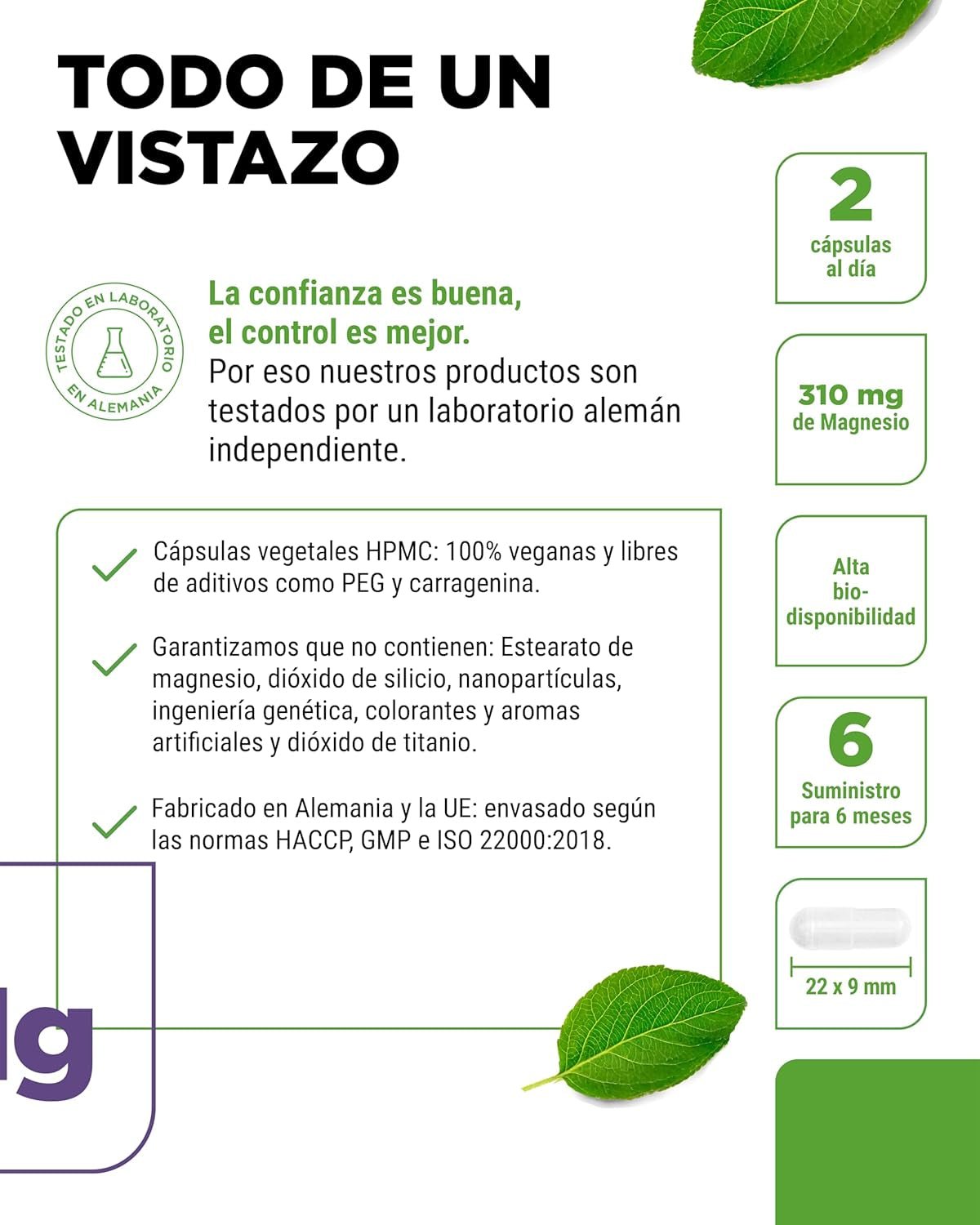 Bisglicinato de Magnesio: Energía y Salud Garantizada - Montber Professional Brand