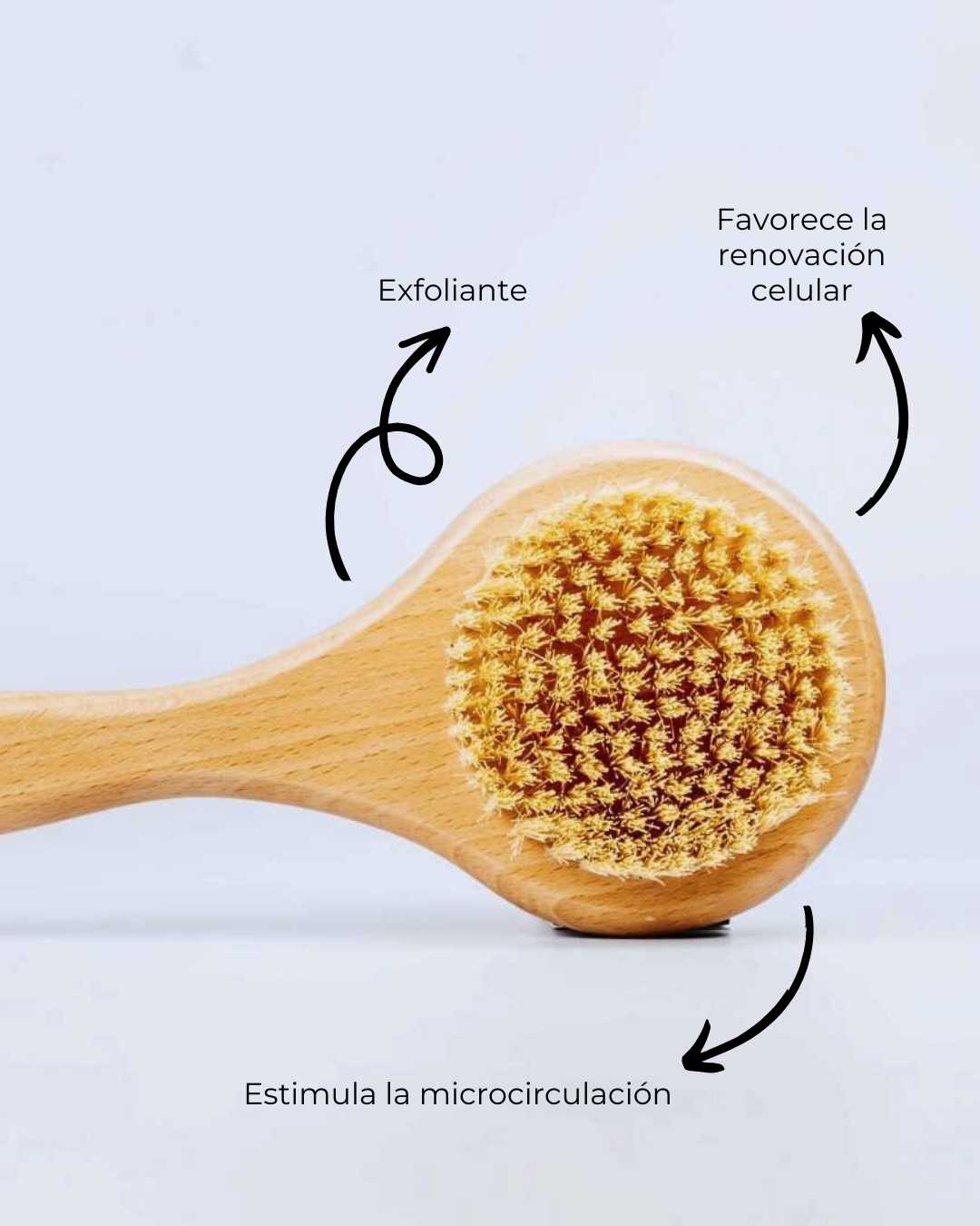 Cepillo de Madera Exfoliante Bath Brush - Montber Professional Brand
