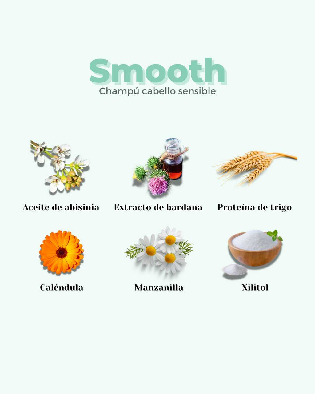 Champú Sólido ECO Anticaspa Cabello Sensible SMOOTH - Montber Professional Brand