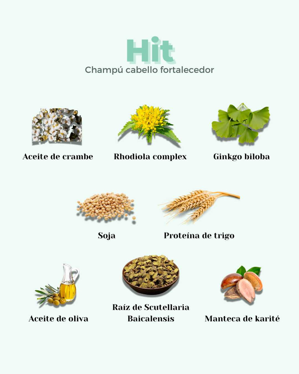 Champú Sólido ECO Fortalecedor Anticaída HIT - Montber Professional Brand