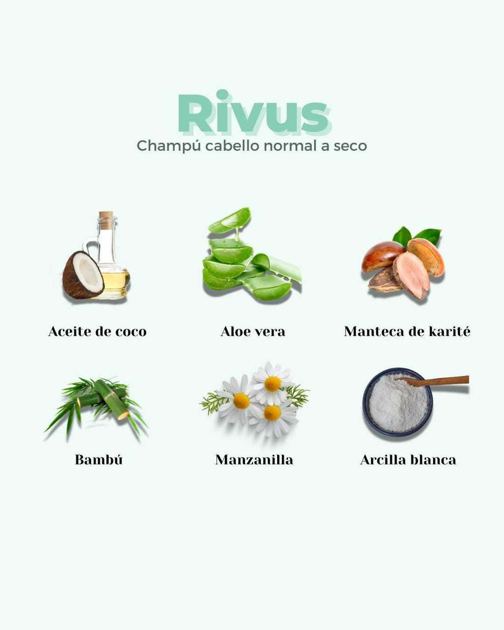 Champú Sólido ECO Hidratante Cabello Normal y Seco RIVUS - Montber Professional Brand