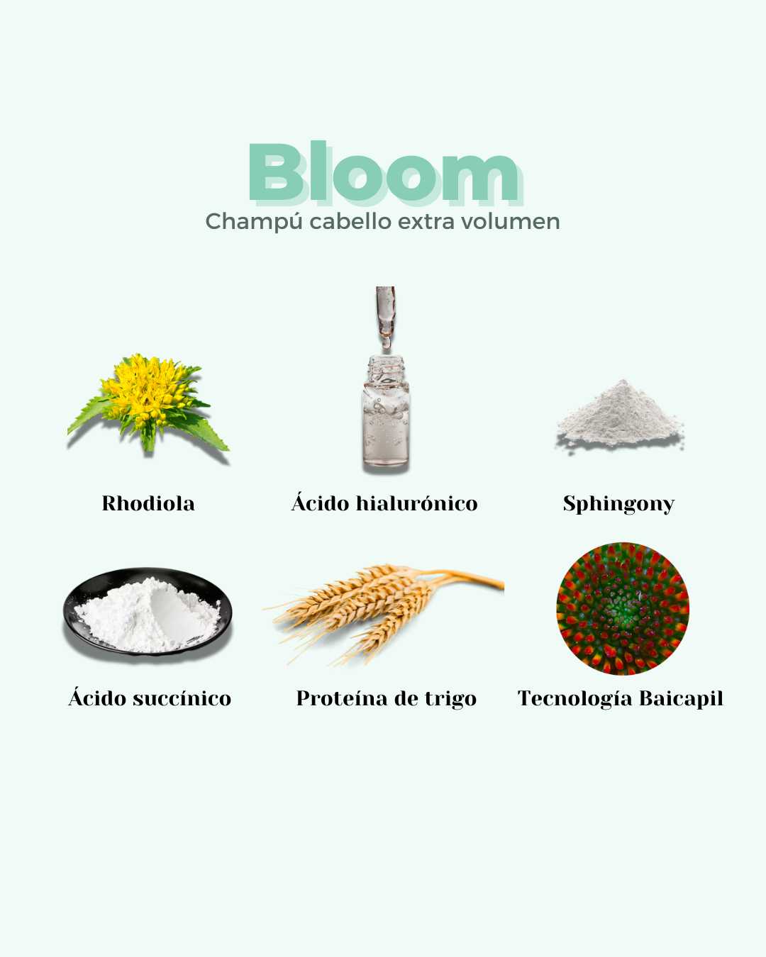 Champú Sólido ECO Volumen Cabello Fino BLOOM - Montber Professional Brand