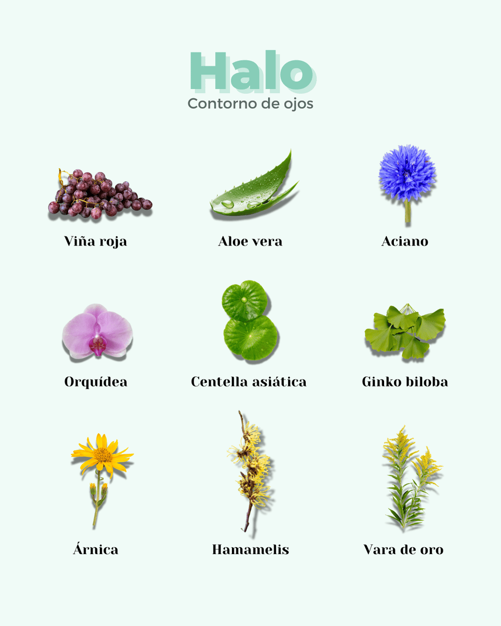 Contorno de Ojos ECO HALO - Montber Professional Brand