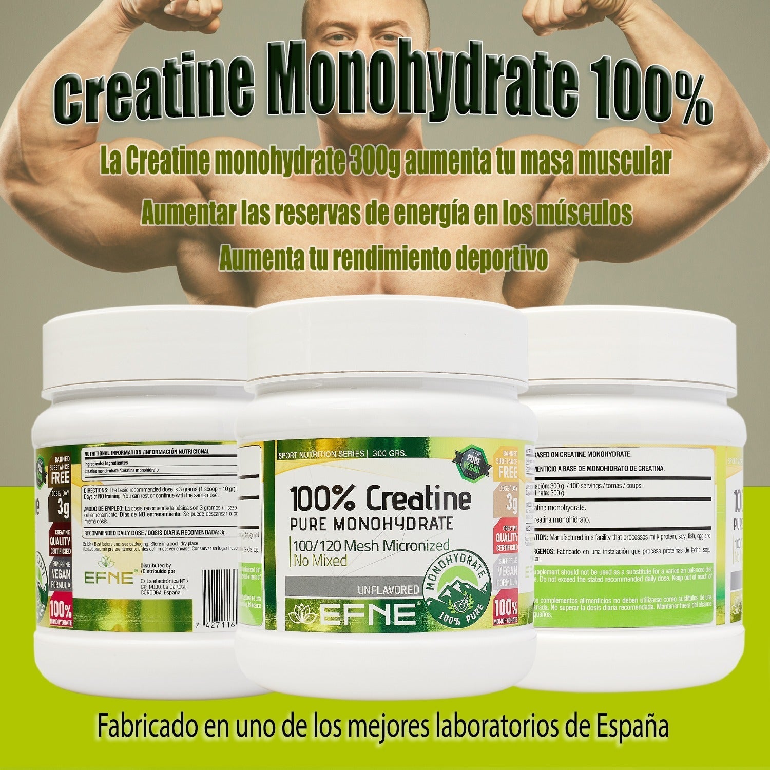 Creatina Monohidrato EFNE – 200 Mesh Micronizada de Alta Absorción