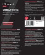 Creatina Monohidrato Pura en Polvo - 500g - Montber Professional Brand