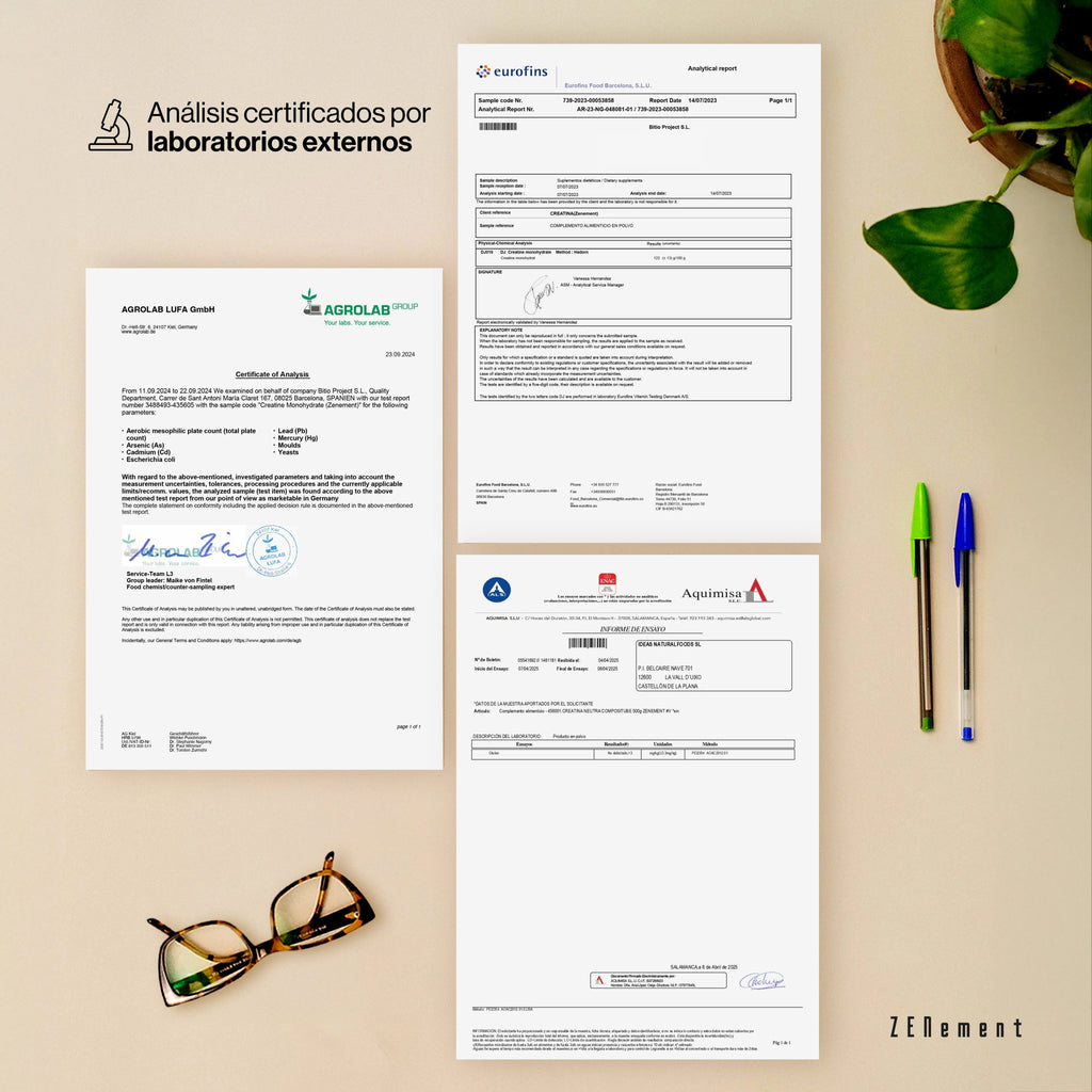 Creatina Monohidrato Pura en Polvo - 500g - Montber Professional Brand