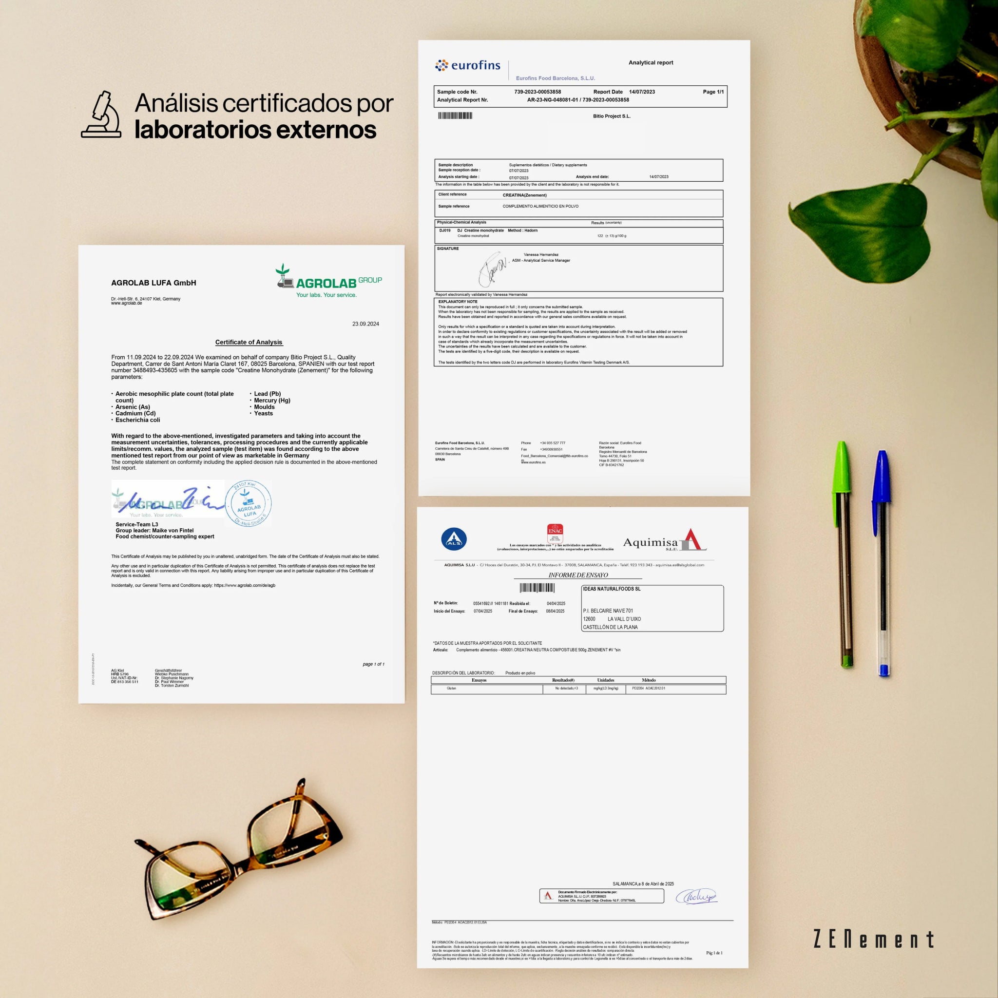 Creatina Monohidrato Pura en Polvo - 500g - Montber Professional Brand