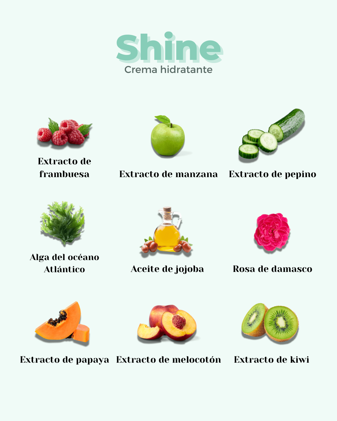 Crema Facial ECO Hidratante SHINE - Montber Professional Brand