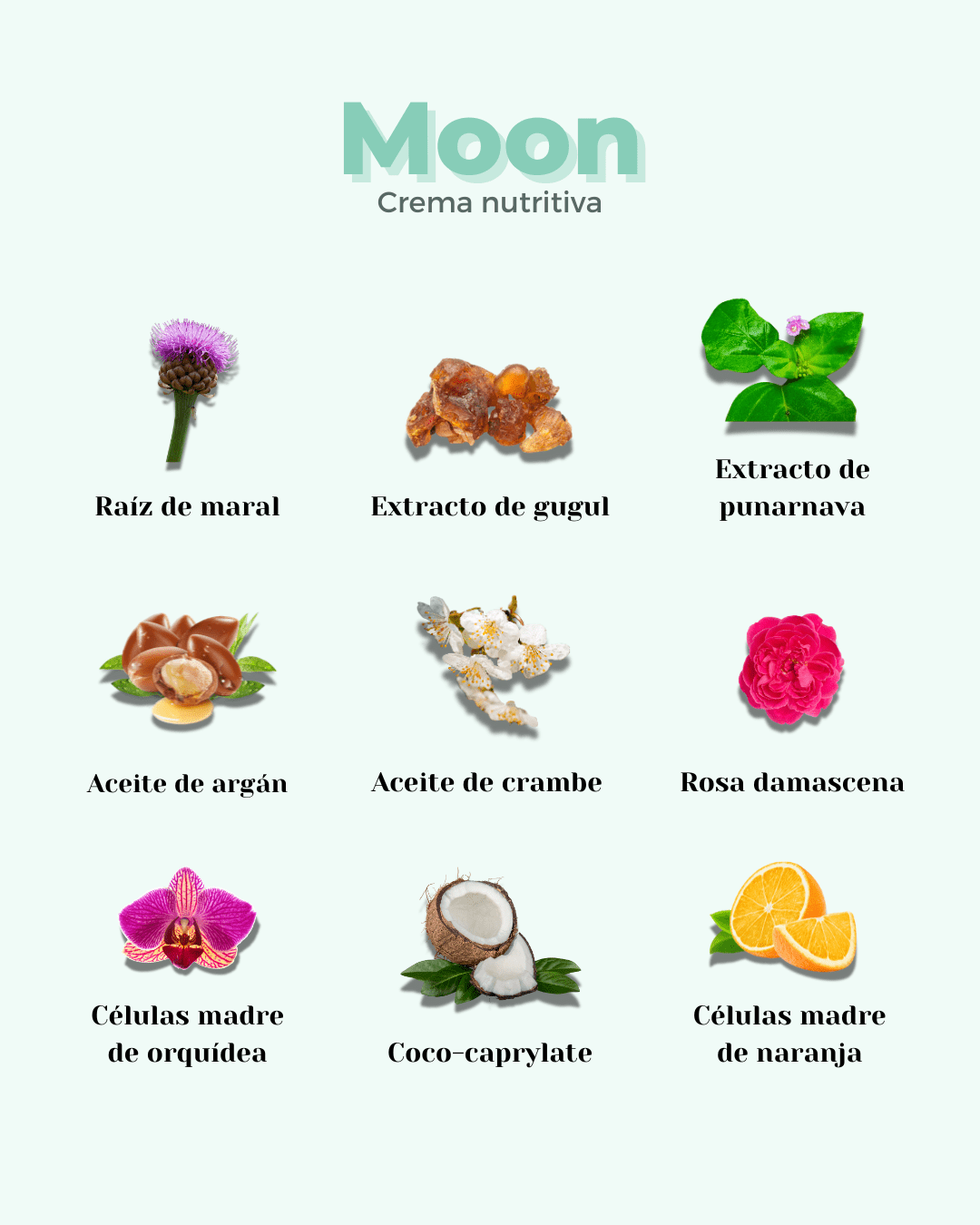 Crema Facial ECO Nutritiva Well Aging MOON - Montber Professional Brand
