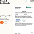 Cúrcuma 6100 mg + Pimienta Negra | 120 cápsulas veganas - Montber Professional Brand