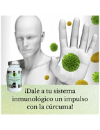 Cúrcuma 95% de Curcumina con Pimienta Negra y Jengibre. - Montber Professional Brand