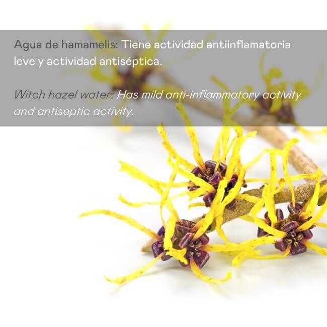 Desmaquillante de Ojos – Suavidad y Frescor para Pieles Sensibles - 250 ml - Montber Professional Brand