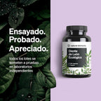 Extracto Raíz Diente León Ecológico - 1000mg - 120 Cápsulas - Montber Professional Brand