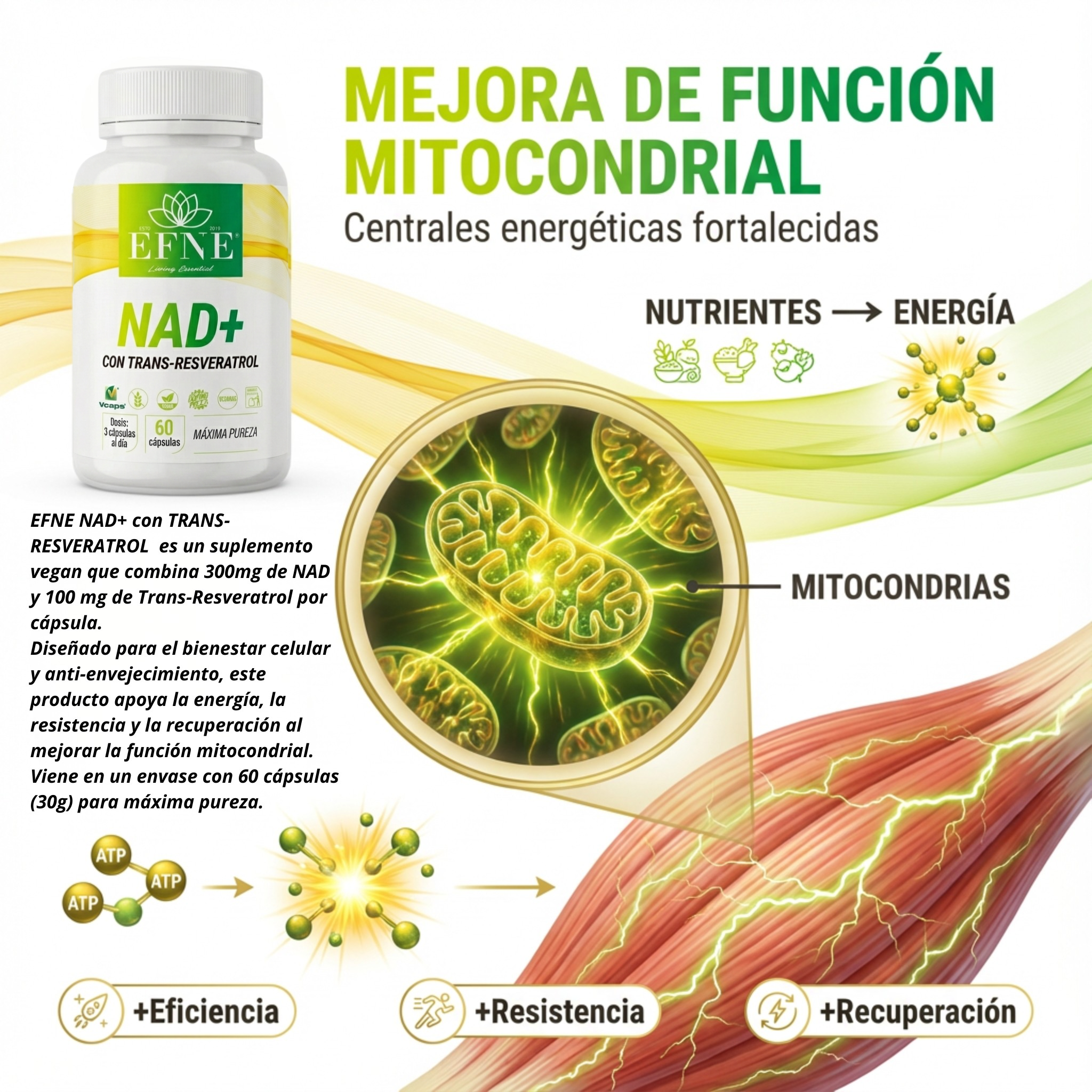 EFNE NAD con Trans - Resveratrol: El Activador de Longevidad para Quienes Viven al Máximo después de los 40