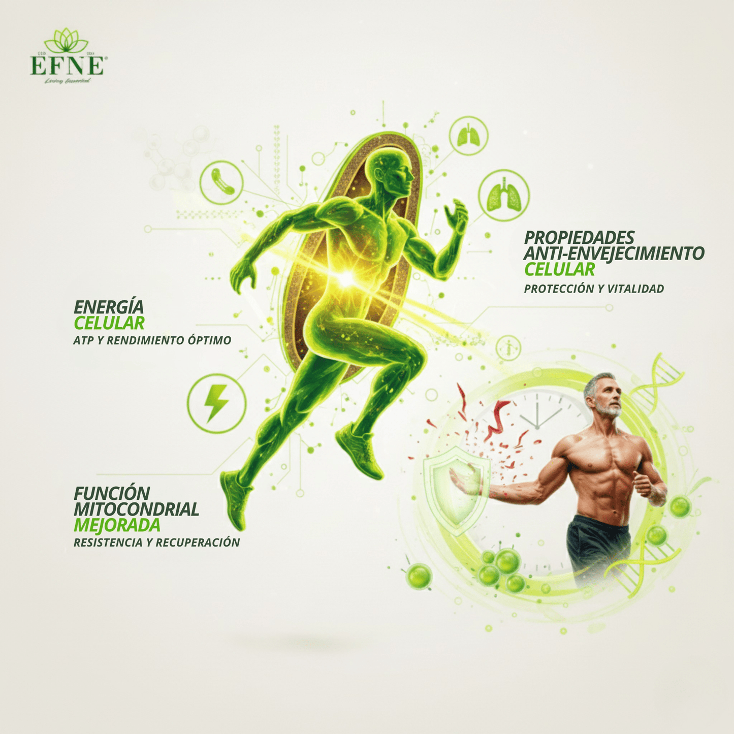 EFNE NAD con Trans - Resveratrol: El Activador de Longevidad para Quienes Viven al Máximo después de los 40