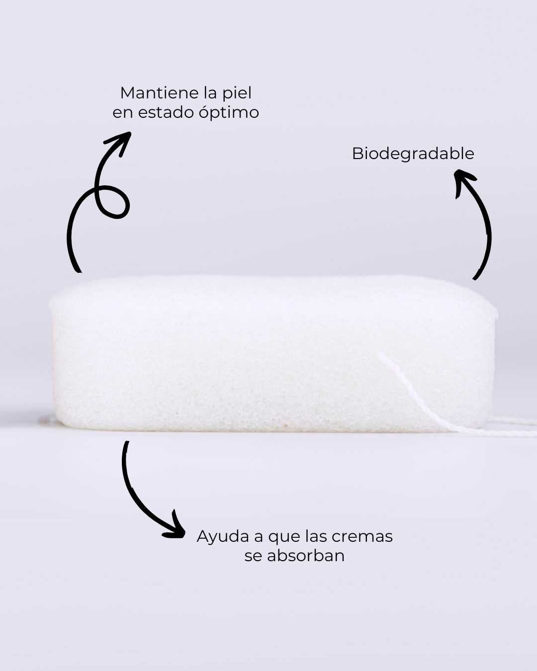 Esponja Konjac Corporal Purificante Natural - Montber Professional Brand