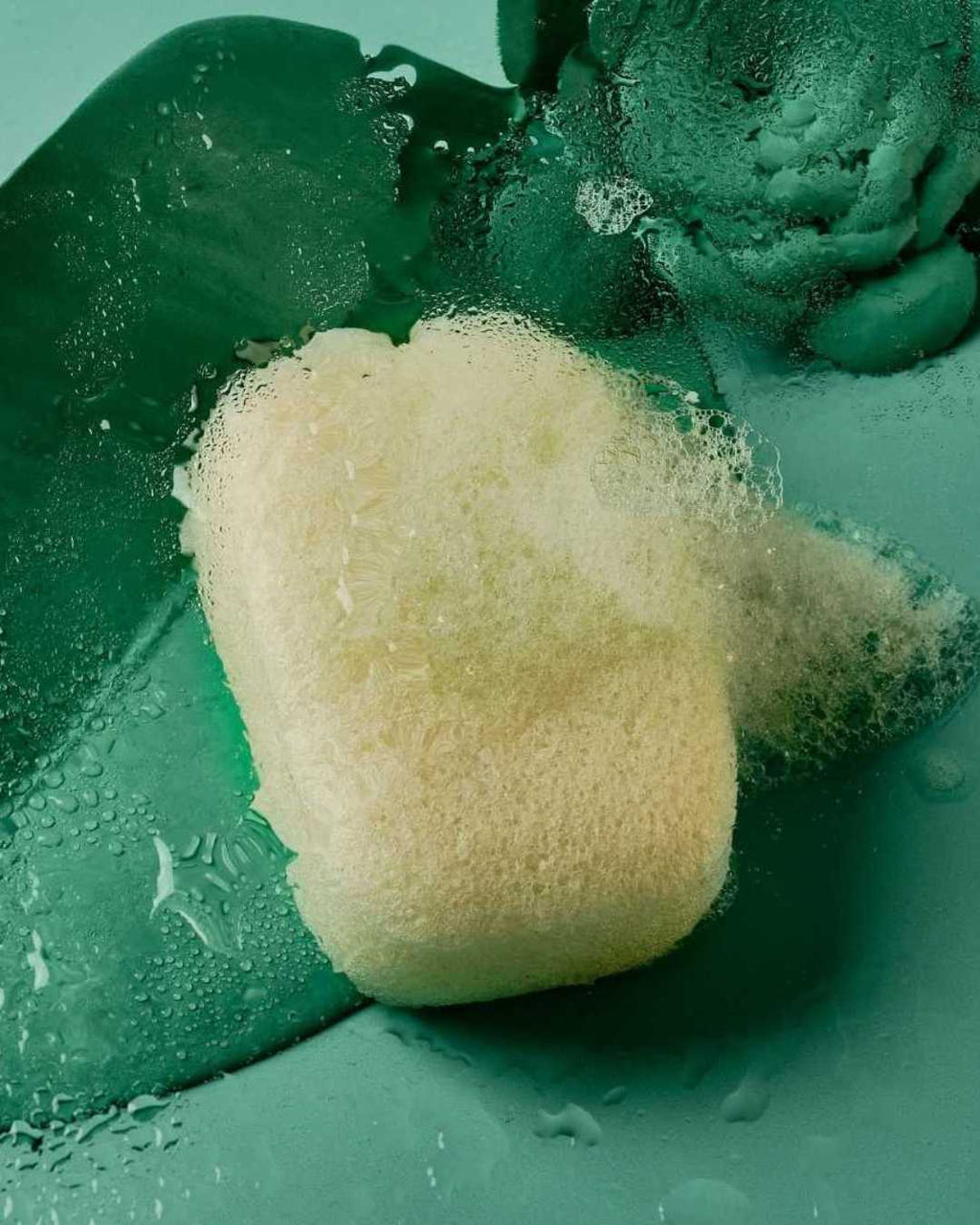 Esponja Konjac Corporal Purificante Natural - Montber Professional Brand