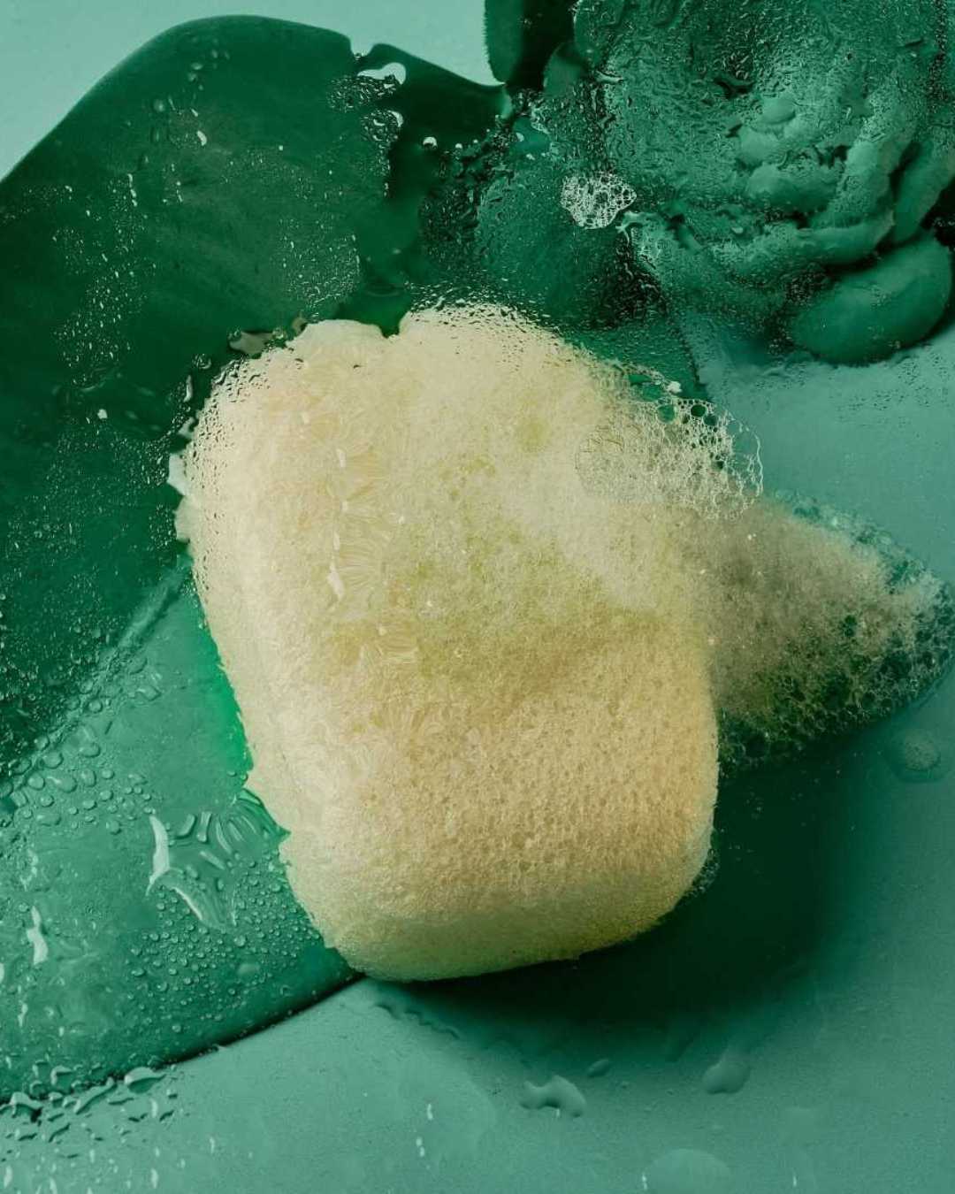 Esponja Konjac Corporal Purificante Natural - Montber Professional Brand