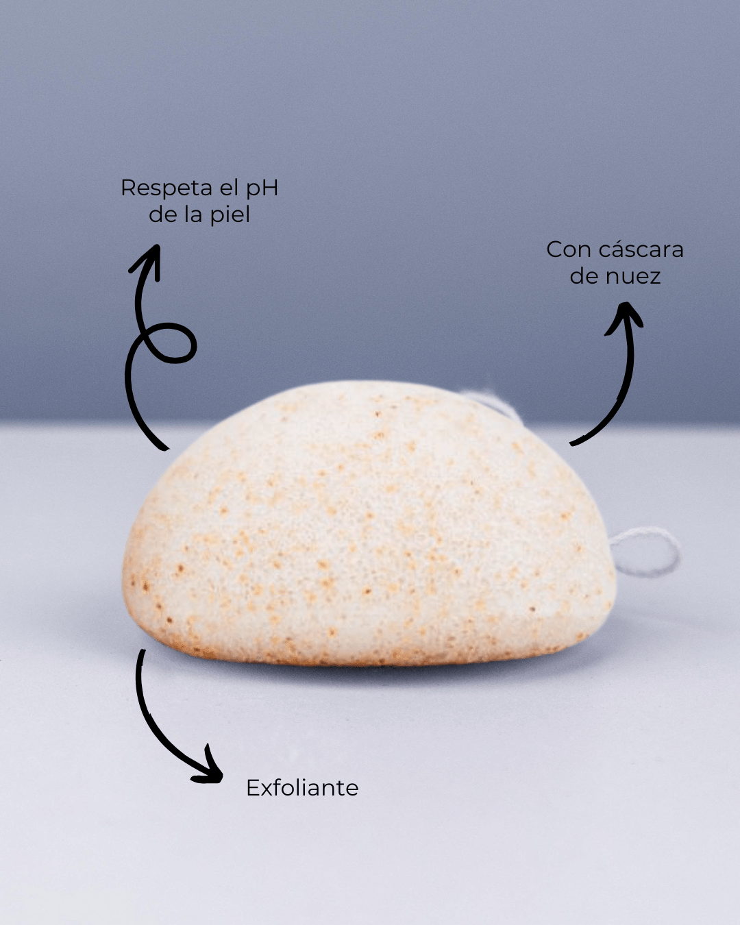 Esponja Konjac Facial Exfoliante con Nuez - Montber Professional Brand