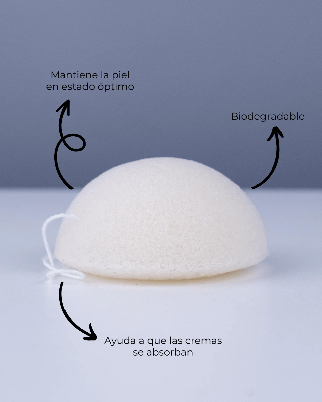 Esponja Konjac Facial Purificante Natural - Montber Professional Brand