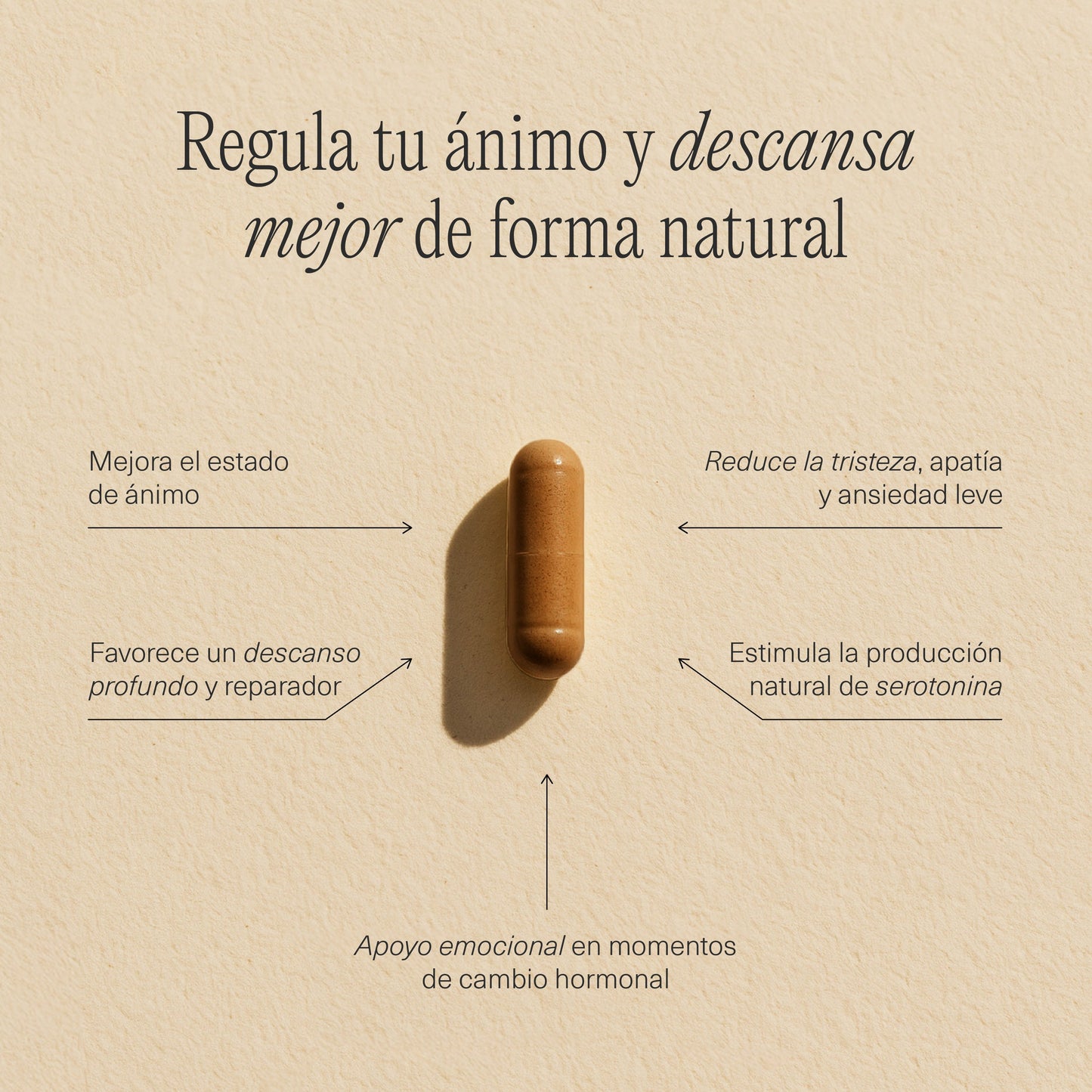 FemmeUp Bienestar – Equilibrio Emocional y Bienestar Mental