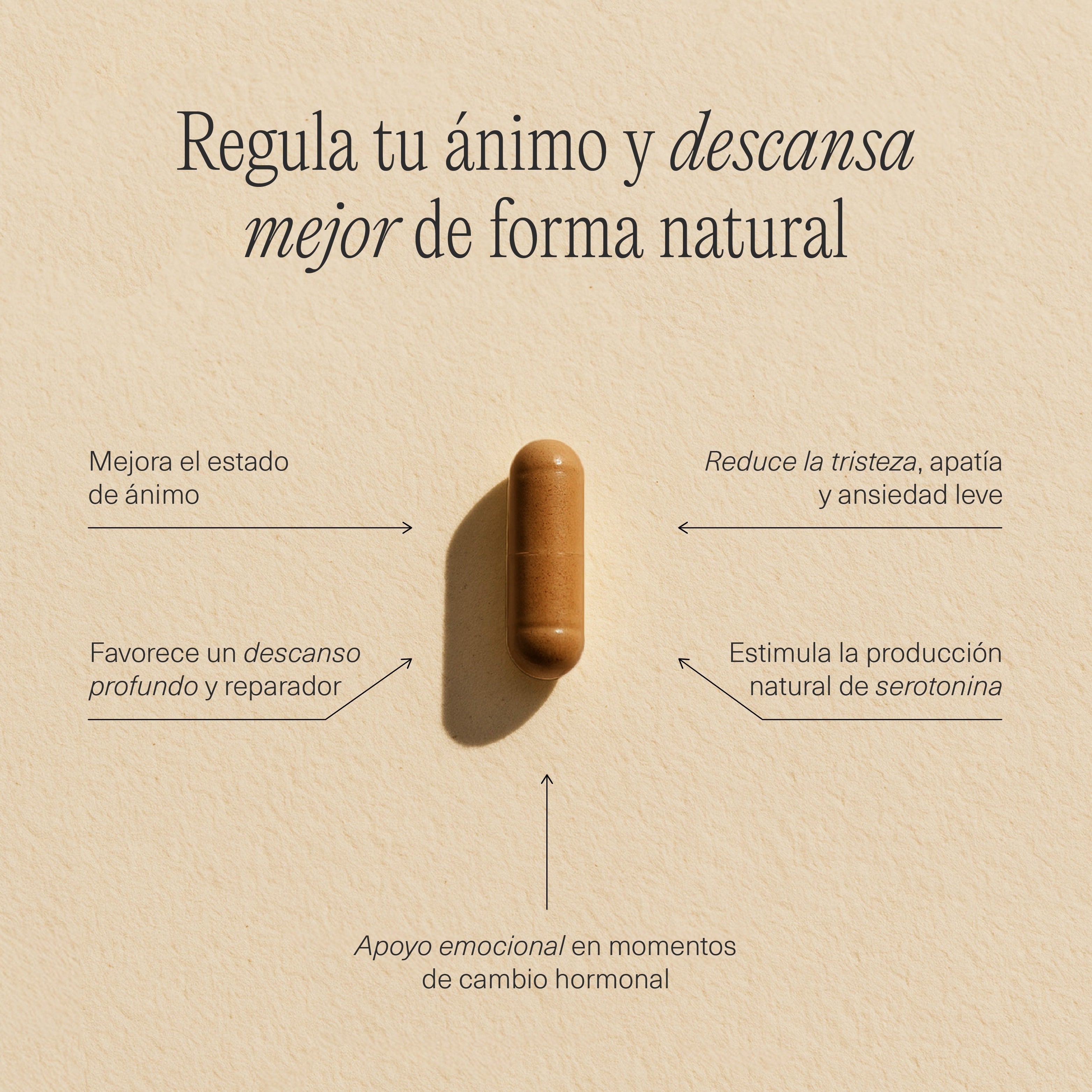 FemmeUp Bienestar – Equilibrio Emocional y Bienestar Mental