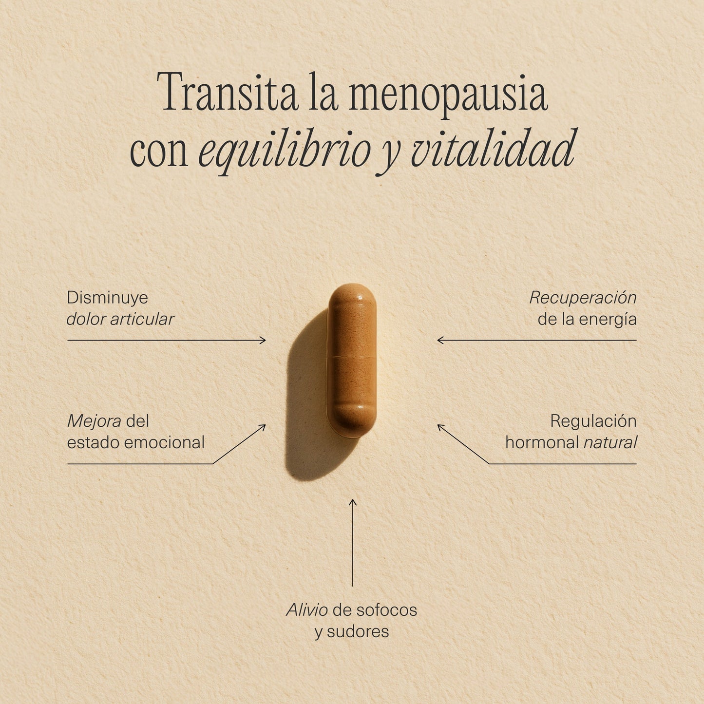 FemmeUp Plenipausia – Complemento Natural para la Menopausia