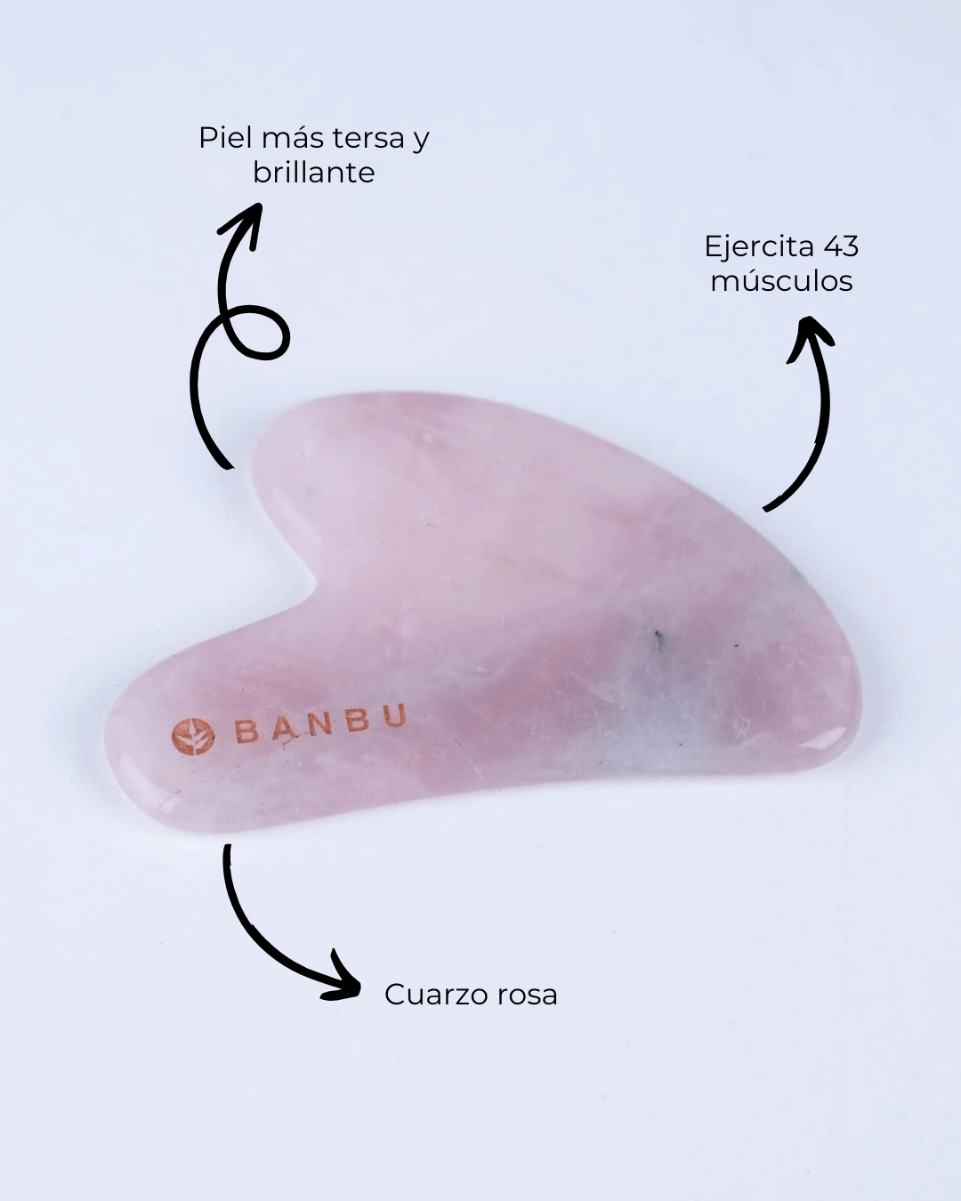 Gua Sha de Cuarzo Rosa - Montber Professional Brand