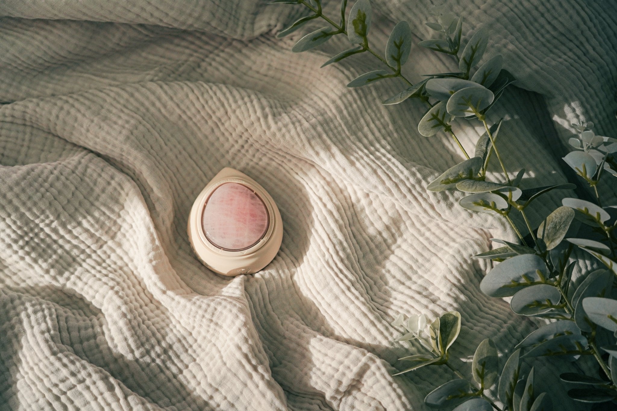 Jade - Montber Professional Brand