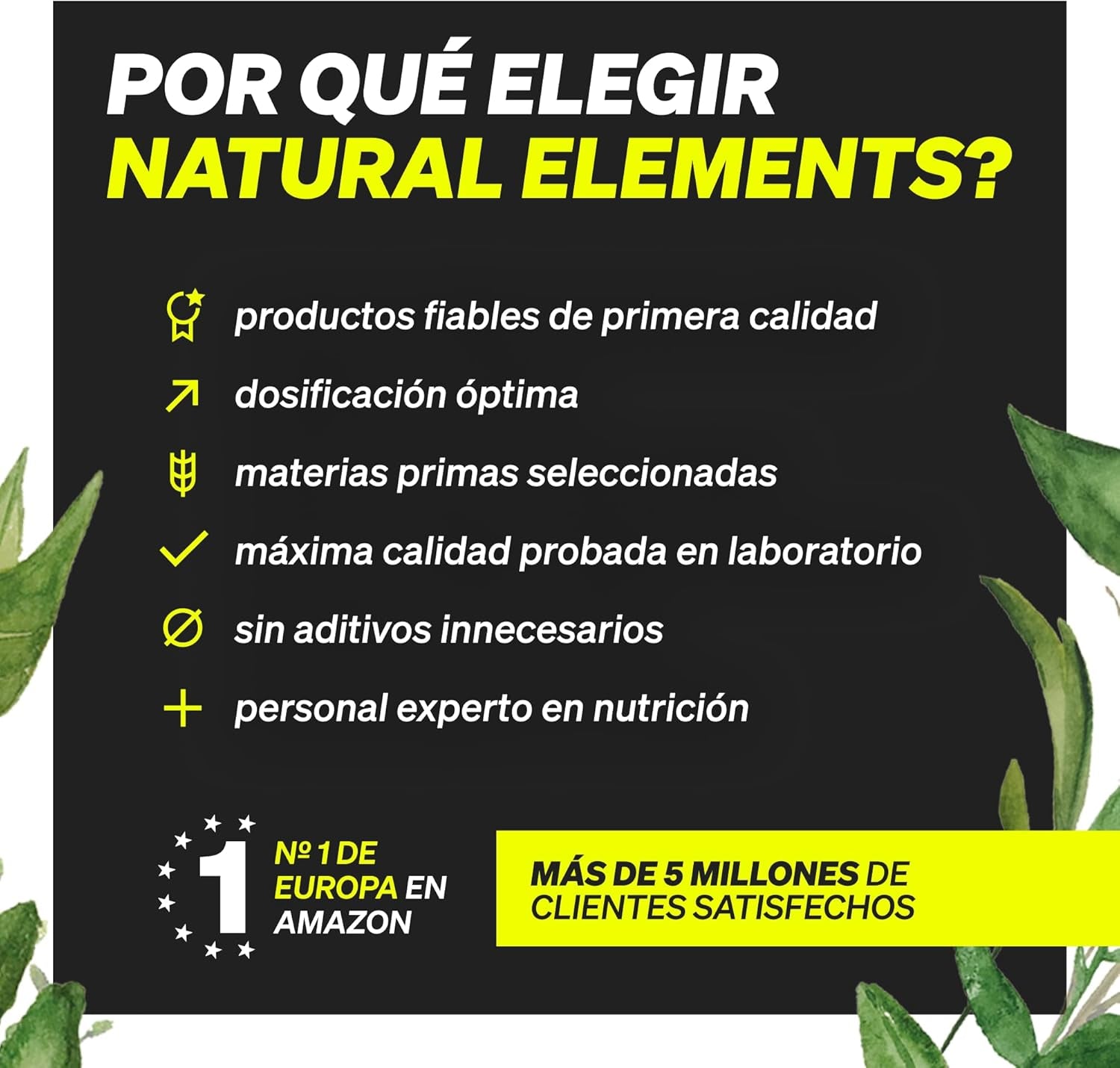 Omega 3 + Vit E: Cuidado Total Corazón y Células - Montber Professional Brand