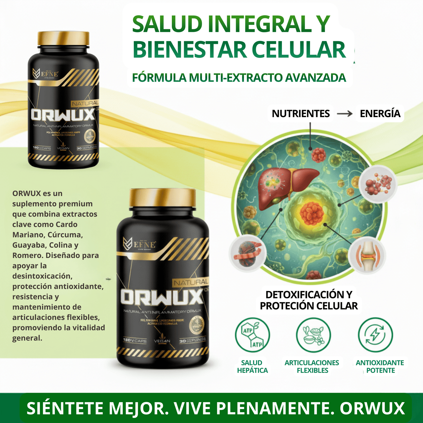 ORWUX EFNE – Antiinflamatorio Natural Más Potente (120 Cápsulas)