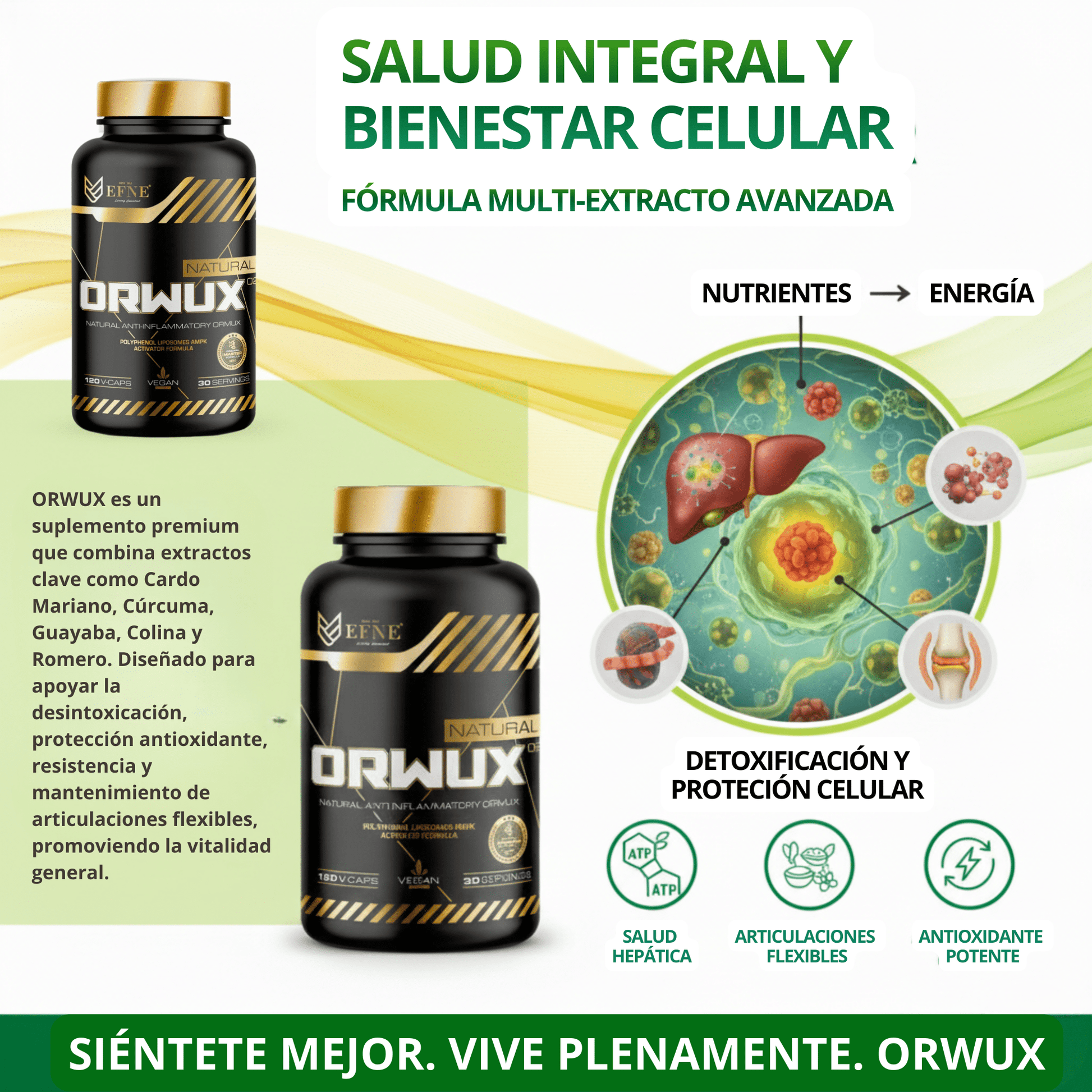ORWUX EFNE – Antiinflamatorio Natural Más Potente (120 Cápsulas)